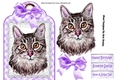 Pretty cat with lilac bow on lace tag