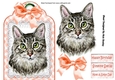 Pretty cat with peach bow on lace tag
