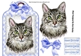 Pretty cat with blue bow on lace tag