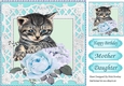 Pretty turq roses with kitten in  lattice 8x8 frame