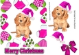 Cute puppy in pink santa hat in christmas sock frames 7x7