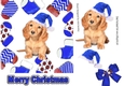 Cute puppy in blue santa hat in christmas sock frames 7x7