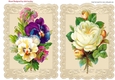 Two pretty vintage card fronts with roses and pansies on lace A5