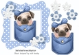 Cute pug in a blue denim pocket with blue polkadot 7x7 frame
