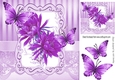 Pretty lilac flowers in ornate 8x8 frame with butterflies