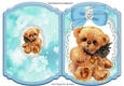 Cute little bear with blue bow on lace bracket card