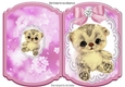 Cute little kitten with pink bow on lace bracket card