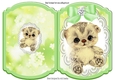 Cute little kitten with green bow on lace bracket card