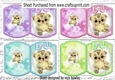 4 Cute little kittens with bows on lace bracket card mini kit