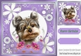 Cute little terrier with purple flower frame 8x8
