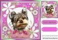 Cute little terrier in pink flower frame 8x8