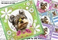 4 Cute little terriers in flowers frame card fronts 8x8 mini kit
