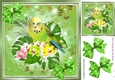 Cute green budgie with polkadot bows 8x8 (one)