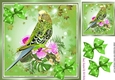 Cute green budgie with polkadot bows 8x8 (four)