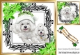 Cute westies in santa hat, festive frame with green flowers 8x8