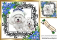 Cute westies in santa hat, festive frame with blue flowers 8x8