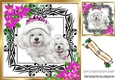Cute westies in santa hat, festive frame with cerise flowers 8x8