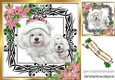 Cute westies in santa hat, festive frame with pink flowers 8x8