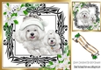 Cute westies in santa hat, festive frame with silver flowers 8x8