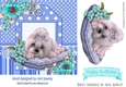 cute puppy on cushion with turq flowers 7x7