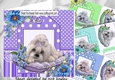 4 cute westies on cushion with flowers card fronts 7x7 mini kit
