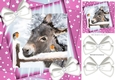 Cute Donkey with robin and white bows/pink stars 8x8