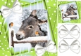 Cute Donkey with robin  and white bows/green stars 8x8