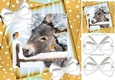 Cute Donkey with robin and white bows/gold stars 8x8