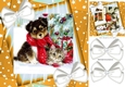 Cute puppy and kitten with white bows and gold stars 8x8