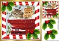 Cute kittens in red/stripe with holly 8x8 frame