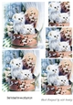 Cute kittens in hat gift box pyramids