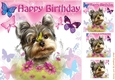 Cute litle yorkie with butterflies 8x8
