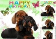 Sweet little puppies and butterflies 8x8