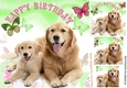 Furry friends with coloured  butterflies 8x8