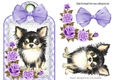 Cute Chichuhua with purple roses and bow on a lace tag/topper