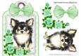 Cute Chichuhua with green roses and bow on a lace tag/topper