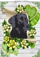 Lovely black labrador on a scroll with green roses A4