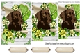 Lovely chocolate labrador on a scroll with green roses pyramids