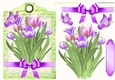 purple tulips with bow and butterflies on a topper/tag