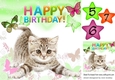 Cute little kitten with green butterflies 8x8