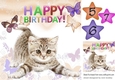 Cute little kitten with peach butterflies 8x8