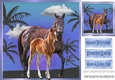 Horse and foal with blue sky and palm trees 8x8