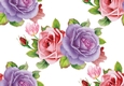 Pretty pink purple roses backing paper (big)