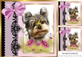 Pretty pink black lace border window 8x8 frame with yorkie