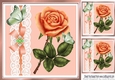 Pretty peach rose with butterflies and lace 8x8