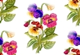 pretty coloured pansies (LARGE) Backing paper