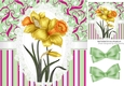 pretty daffodils on lace pink floral/stripe with bows 8x8