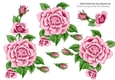 Pretty A5 Pink Rose Cut out