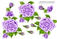 Pretty A5 Lilac Rose Cut out