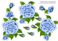 Pretty A5 Blue Rose Cut out